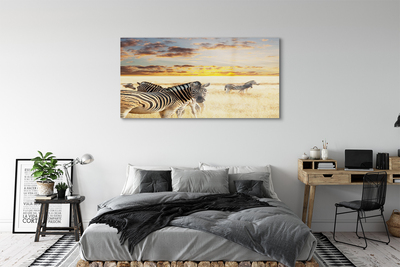 Plexiglas tavla Zebrafältsolnedgång