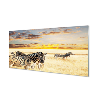 Plexiglas tavla Zebrafältsolnedgång