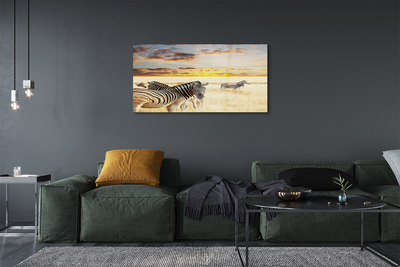 Plexiglas tavla Zebrafältsolnedgång