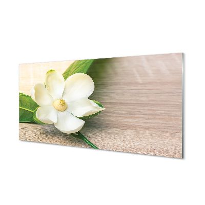 Plexiglas tavla Vit magnolia