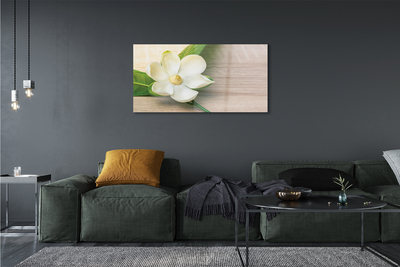 Plexiglas tavla Vit magnolia