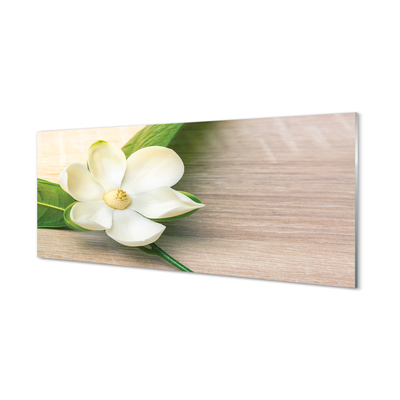 Plexiglas tavla Vit magnolia