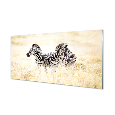 Plexiglas tavla Zebrafält