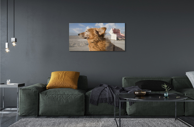 Plexiglas tavla Brun strandhund