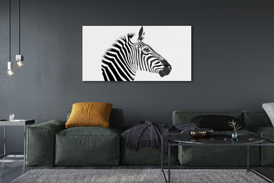 Tavla plexiglas Zebra illustration