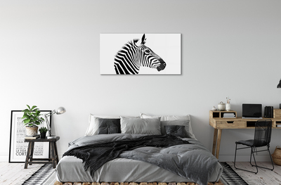 Tavla plexiglas Zebra illustration