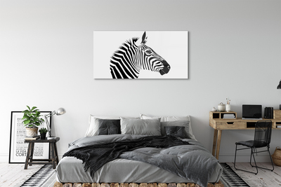 Tavla plexiglas Zebra illustration