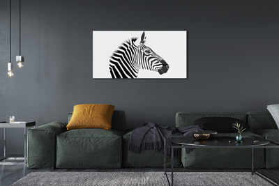 Tavla plexiglas Zebra illustration