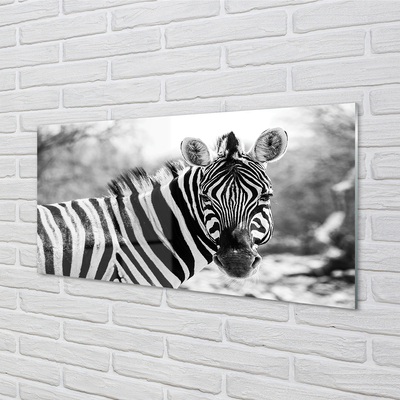 Akrylglas bild Retro zebra