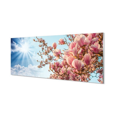 Tavla plexiglas Magnolia solhimmel