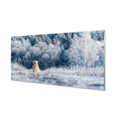 Tavla plexiglas Vinter bergshund