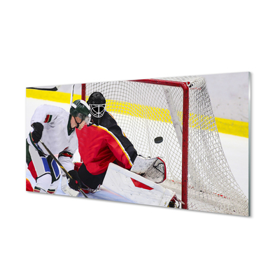 Plexiglas tavla Hockeymål