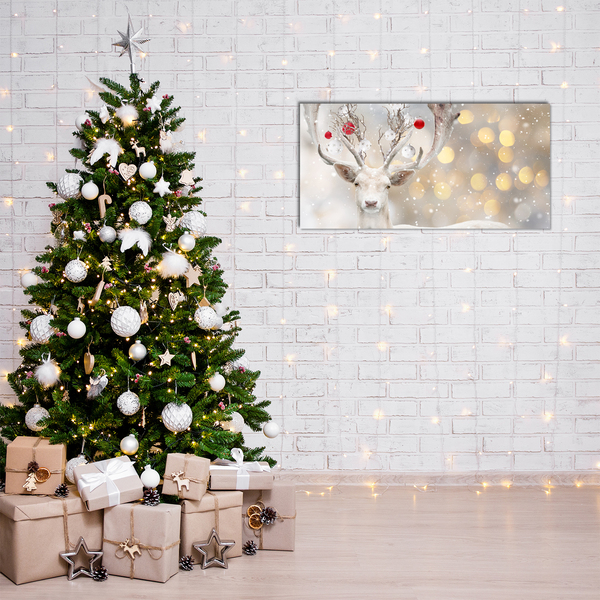 Plexiglas tavla Vita ren julgranskulor
