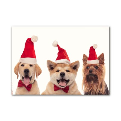 Plexiglas tavla Hundar jultomten jul