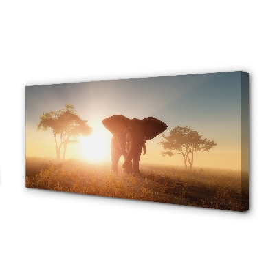 Canvastavla Soluppgång för elefantträd