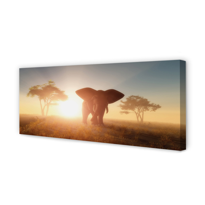 Canvastavla Soluppgång för elefantträd
