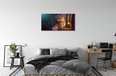 Fototryck canvas Tigerskogsman