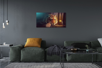 Fototryck canvas Tigerskogsman