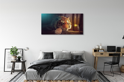 Fototryck canvas Tigerskogsman