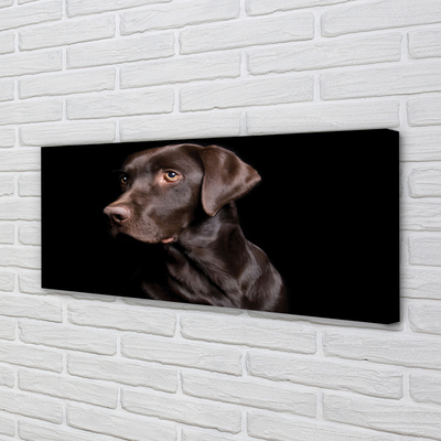 Fototryck canvas Brun hund