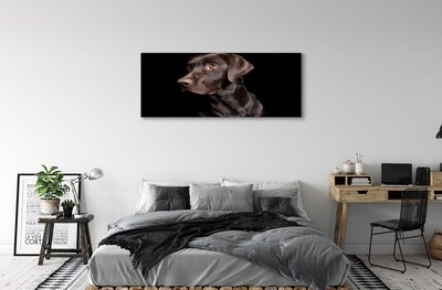 Fototryck canvas Brun hund