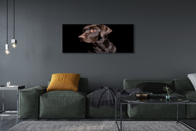 Fototryck canvas Brun hund