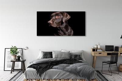 Fototryck canvas Brun hund