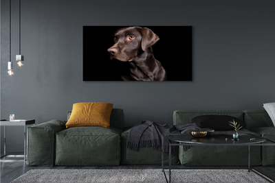 Fototryck canvas Brun hund