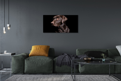 Fototryck canvas Brun hund