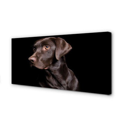 Fototryck canvas Brun hund