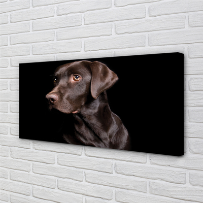 Fototryck canvas Brun hund