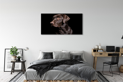 Fototryck canvas Brun hund