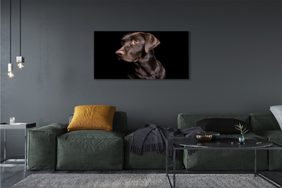 Fototryck canvas Brun hund