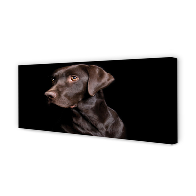 Fototryck canvas Brun hund