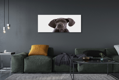 Bild canvas Brun hund