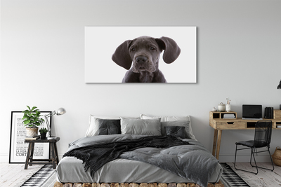 Bild canvas Brun hund