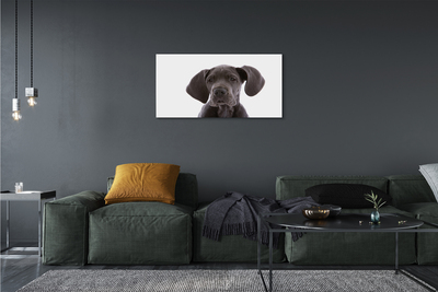 Bild canvas Brun hund