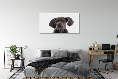 Bild canvas Brun hund