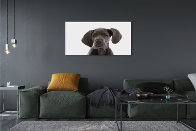 Bild canvas Brun hund