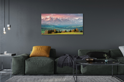 Fototryck canvas Fältets berg