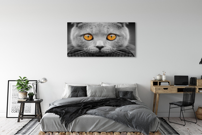 Foto på canvas Brittisk grå katt