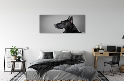 Bild på canvas Svart hund