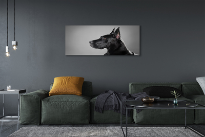 Bild på canvas Svart hund