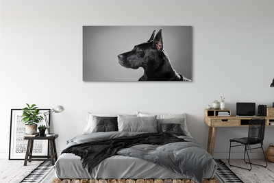 Bild på canvas Svart hund