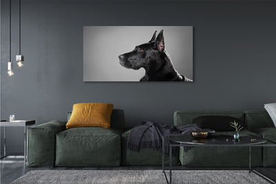 Bild på canvas Svart hund