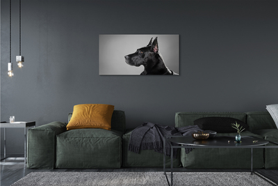 Bild på canvas Svart hund