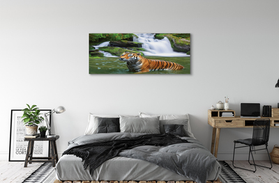 Bild canvas Tiger vattenfall