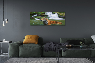 Bild canvas Tiger vattenfall