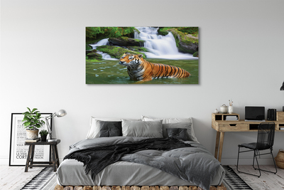 Bild canvas Tiger vattenfall