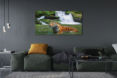 Bild canvas Tiger vattenfall